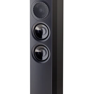 Paradigm | Premier 800F diffusore da pavimento - colorazione nero