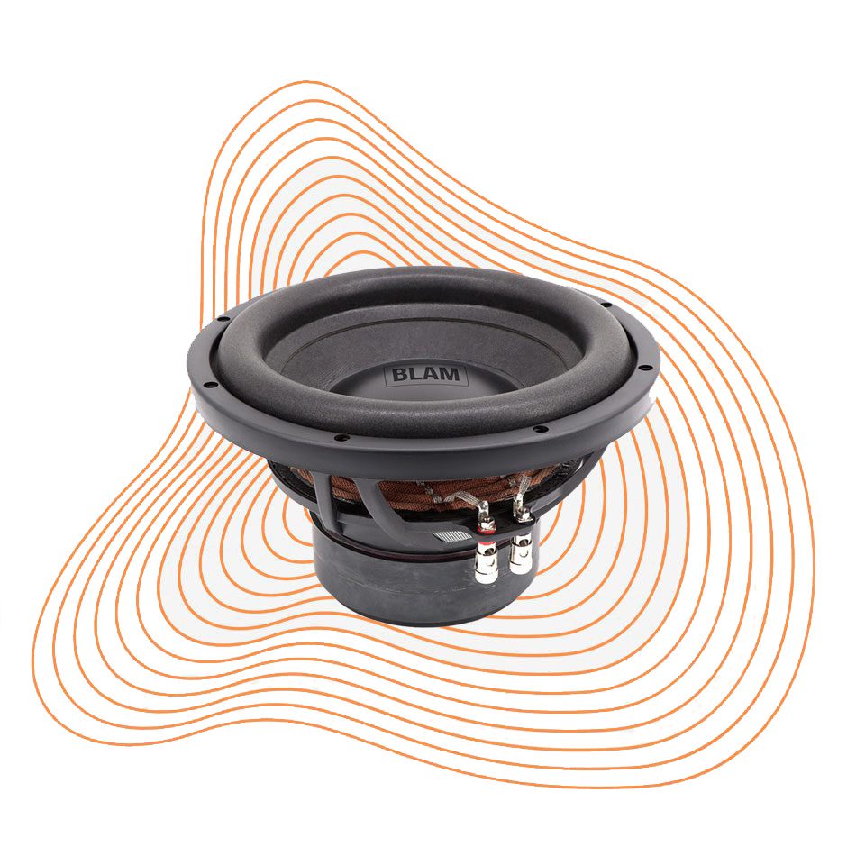 BLAM L 25DB Subwoofer a doppia bobina da 250 mm